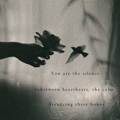 You Are The Silence [naviarhaiku048 - You Are The Silence]