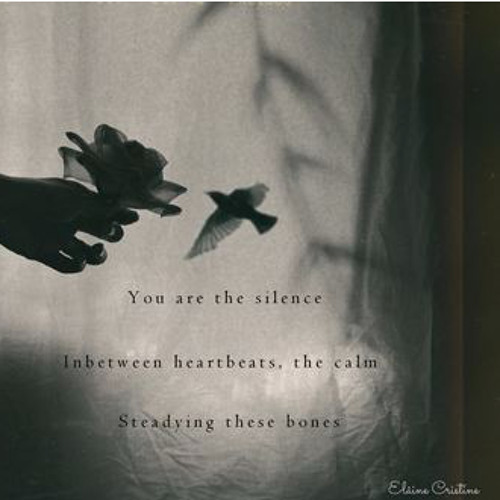Bones and Bells [Naviarhaiku048 - You are the silence]