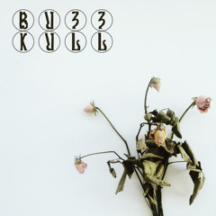 Buzz Kull