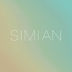 The Other - The Party Won't Stop (Simian's '93 Remix)