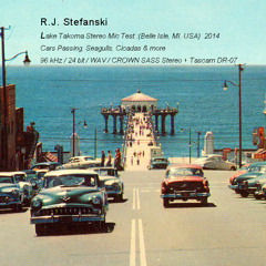 Lake Takoma Crown SASS Stereo Mic Test [HD 96 K Field Recording: Cars Passing & Seagulls Belle Isle]