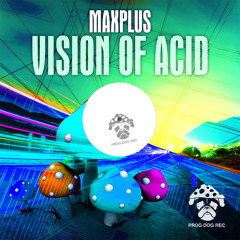 Maxplus - VISION OF ACID (Original Mix)