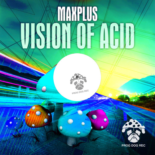 Maxplus - VISION OF ACID (Original Mix)