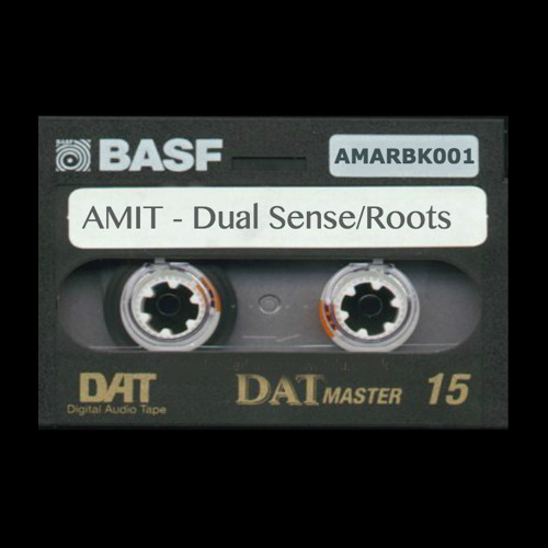 AMIT - Dual Sense/Roots [AMARBK001]