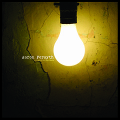 AMERICAN LOVE SONGS (FROM LIGHT IN THE DARK CD)