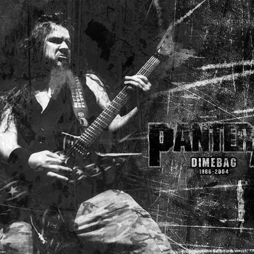 I'LL CAST A SHADOW (PanterA Cover) DefineD