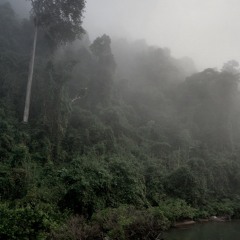 Praise You In This Storm (cover by Avery)