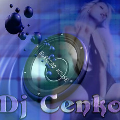 Dj Cenko Electro House (decembre 2014)