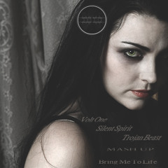 Abramovsky Vs. Evanescence - Bring Me To Life (Volt-One, Silent Spirit & Trojan Beast Mash Up)