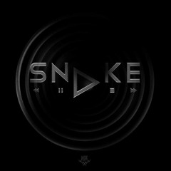 Snake - Promo Mix 2014 (100%sync 0%vinyl)