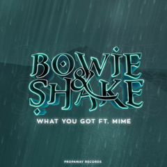 Bowie & Shake ft. M.I.M.E. - What you Got [FREE DOWNLOAD]