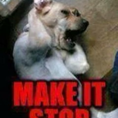 PROFIK - WAVELENGTH (Prod. PRObeats)