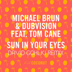 Michael Brun & DubVision - Sun In Your Eyes [David Gohlki Remix]