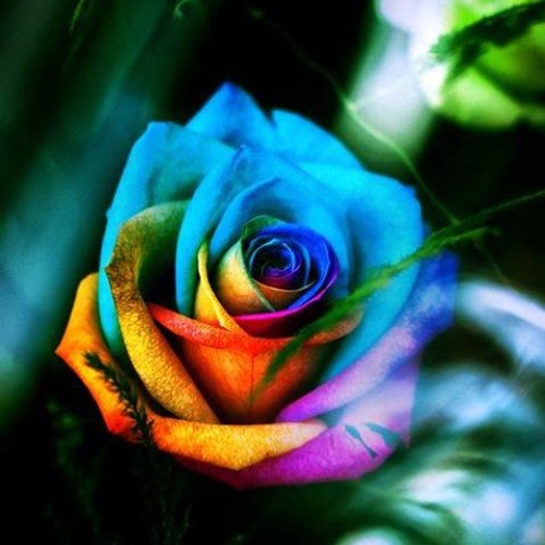 Paradigm Metamorphosis.