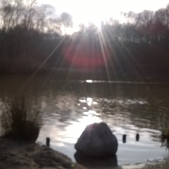 Alles Normell Machen