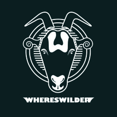 01 Something About Her