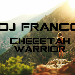 Audioless & Kerafix & Vultaire - Vs - Matt Zanardo Cheetah WARRIOR(DJ FRANCO MASHUP)