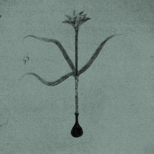 Oil Thief "The Beginning" from the 2xCS "Obsolescence & Monality" on Chondritic Sound, Jan 2015