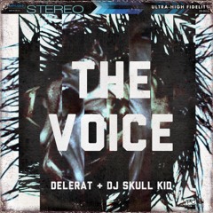 Delerat & DJ Skull Kid - The Voice