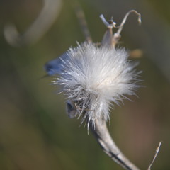 Climax (Usher Cover) - Ginette Claudette