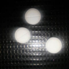 Shubzilla X Lex Lingo This One