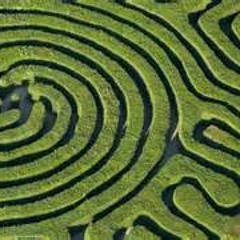 Alice in a Maze