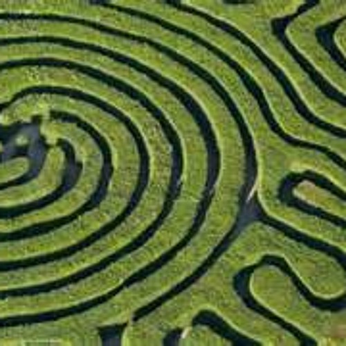 Alice in a Maze