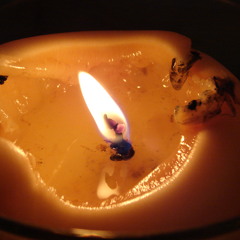 Green Day - Good Riddance (Colibri Seeds Remix)