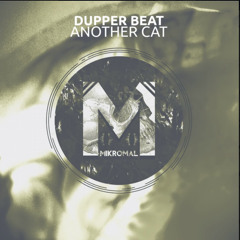 Dupper Beat-Another Cat (Original Mix)[Mikromal Records]