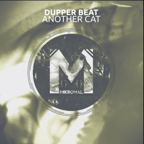Dupper Beat-Another Cat (Original Mix)[Mikromal Records]