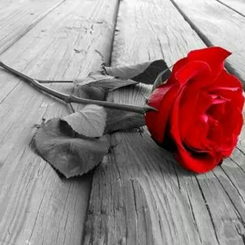 Chab hasniiii ~~nhar lefra9 bkiiitt ®®™