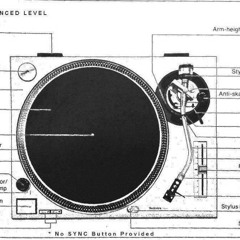 Audio Monkey B2B S.Kull