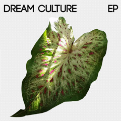 Another Extension Of Me