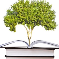 Beneficial Knowledge and Righteous Actions By Shaykh Fu’aad Al ‘Amri