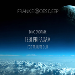 Dino Dvornik - Tebi Pripadam (FGD Tribute Dub)