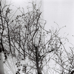 มีอยู่จริง Master 1