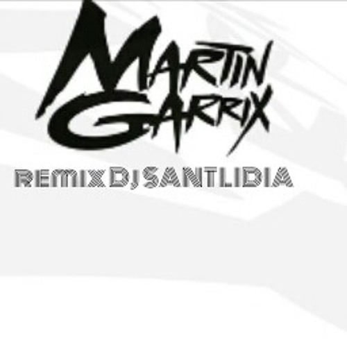 Martin garrix remix(dj SANTLIDIA)