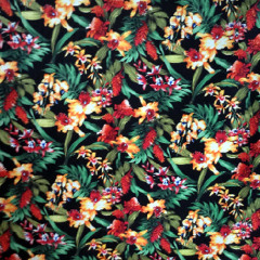 We Rave You's Darude- Sandstorm (Live LAunchpad Remix)