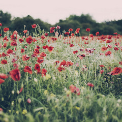 We could be in love - Lea Salonga (Guitar by @aleraihan)