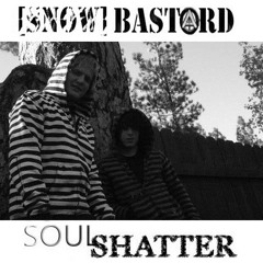 The Flood -SoulShatter/Snow Bastard Collaboration