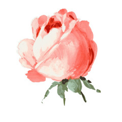 我还是不懂 - A-lin