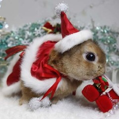 The Killing Moon (Advent Calendar Day Nine)