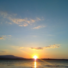 John Frusciante - Falling