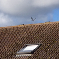 On Our Side (CJ Lohr Ambient Mix) Feat. Kelly Snook