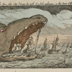 It came from the sea (part 2)