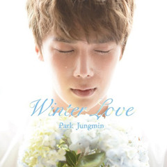 愛の翼(Wings of Love)