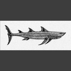 glimmers of civilisation