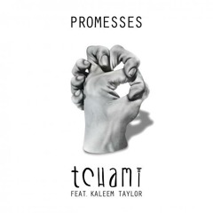 Promesses feat. Kaleem Taylor (Calyx & TeeBee remix)