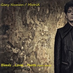 Bleeds, Loves, Hurts [MetriX RemiX]
