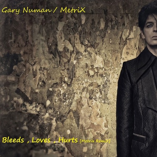 Bleeds, Loves, Hurts [MetriX RemiX]